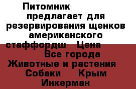 Питомник KURAT GRAD предлагает для резервирования щенков американского стаффордш › Цена ­ 25 000 - Все города Животные и растения » Собаки   . Крым,Инкерман